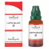 Medisynth Lappa Major 1X (Q) (30ml)