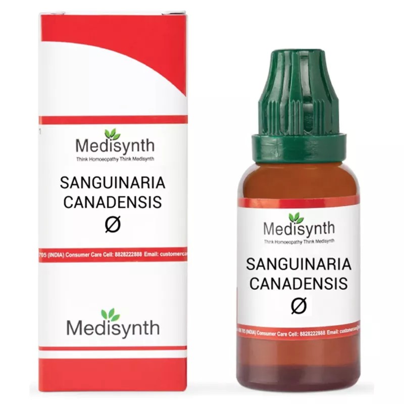 Medisynth Sanguinaria Canadensis 1X (Q) (30ml)