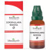 Medisynth Scrophularia Nodosa 1X (Q) (30ml)