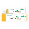 Wheezal Apis Mellifica Ointment (25g)