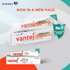 Dr Reddy Vantej Toothpaste Long Lasting (100g)