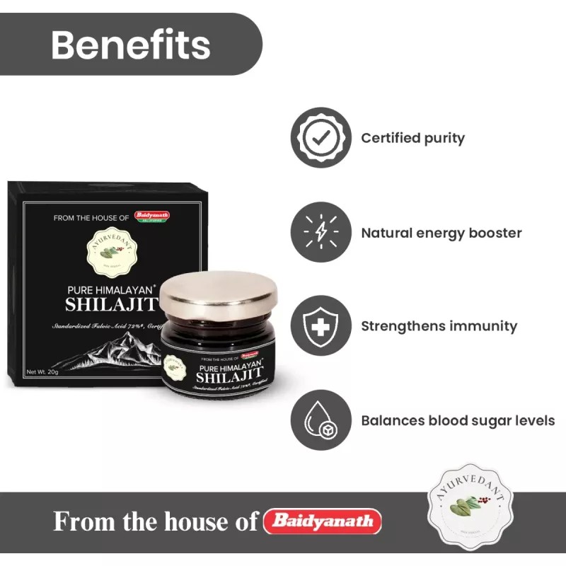 Baidyanath Ayurvedant Pure Himalayan Shilajit (20g)