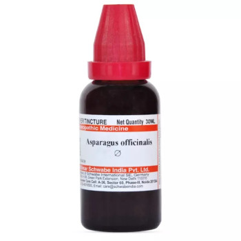 Willmar Schwabe India Asparagus Officinalis 1X (Q) (30ml)