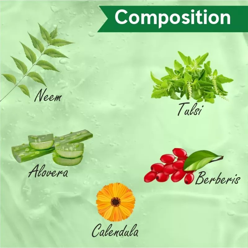 Adven Aloe Vera, Berberis, Calendula, Neem & Tulsi Face Wash (100ml)
