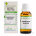 LDD Bioscience Ranunculus Bulbosus 1X (Q) (30ml)