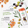 Nisha Almond & Olive Actives Shampoo (340ml)