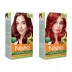 Nisha Creme Hair Color Combo Burgundy And Flame Red (Each (Color Cream 60g + Developer 60 + Conditioner 6ml) (1Pack)