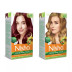 Nisha Creme Hair Color Combo Burgundy And Honey Blonde (Each (Color Cream 60g + Developer 60 + Conditioner 6ml) (1Pack)