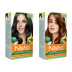 Nisha Creme Hair Color Combo Natural Black And Natural Brown (Each (Color Cream 60g + Developer 60 + Conditioner 6ml) (1Pack)