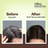 Nisha Nature Mate Henna Based Hair Color Dark Brown Powder (60g, Pack of 3)