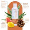 Bio Valley Cedarwood Hair Shampoo (300ml)