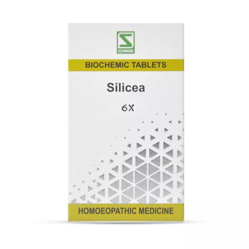 Willmar Schwabe India Silicea 6X (25g)