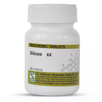 Willmar Schwabe India Silicea 6X (25g)