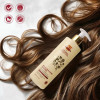 Willmar Schwabe India B&T Nourish Collection Repair & Shine Shampoo (300ml)
