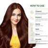 Nisha Henna Based Hair Color Natural Brown Powder (25g, Pack of 10)