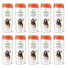 Nisha Almond & Olive Actives Shampoo (75ml, Pack of 10)