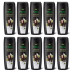 Nisha Avocado & Brahmi Oils Shampoo (75ml, Pack of 10)