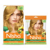 Nisha Creme Hair Color Combo Pack 8.1 Golden Blonde (150g Box, Colorant 90ml + Developer 60g + 6ml Conditioner) + (40g Pouch, Colorant 20ml + Developer 20g) (1Pack)