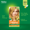 Nisha Creme Hair Color Combo Pack 8.1 Golden Blonde (150g Box, Colorant 90ml + Developer 60g + 6ml Conditioner) + (40g Pouch, Colorant 20ml + Developer 20g) (1Pack)