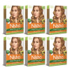 Nisha Creme Hair Color 7.3 Honey Blonde (Colorant 20g + Developer 20ml) (1Pack, Pack of 6)