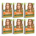 Nisha Creme Hair Color 7.3 Honey Blonde (Colorant 20g + Developer 20ml) (1Pack, Pack of 6)