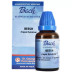 St. George Bach Flower Beech (30ml)