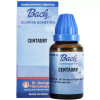 St. George Bach Flower Centaury (30ml)