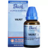 St. George Bach Flower Walnut (30ml)
