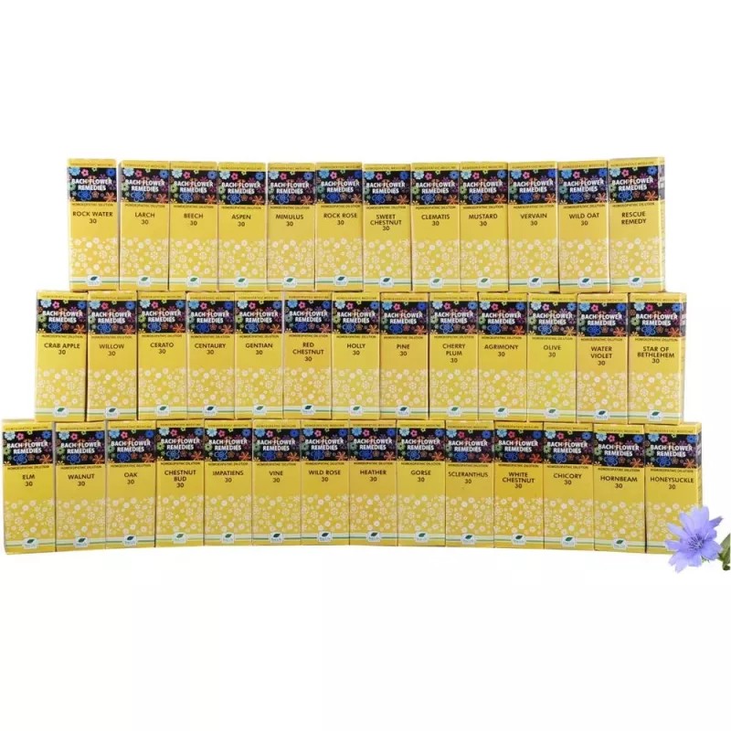 New Life Bach Flower Remedies Kit (40X30ml) (1Set)