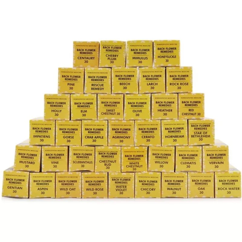 New Life Bach Flower Remedies Kit (40X30ml) (1Set)