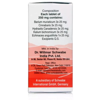 Willmar Schwabe India Alpha SH (Sinus Headache) (20g)