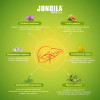 Medisynth Jondila Syrup (120ml)