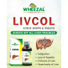 Wheezal Livcol Liver Tonic (120ml)