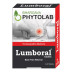 Bhargava Lumboral Tablet (60tab)