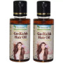 Planet Ayurveda Go Richh Hair Oil (100ml, Pack of 2)