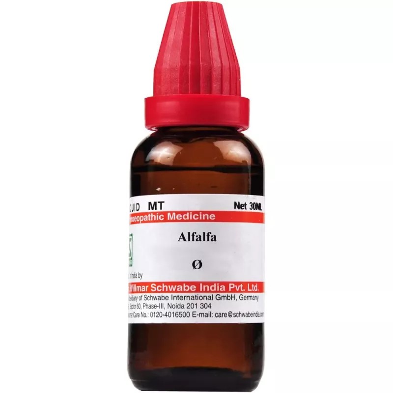 Willmar Schwabe India Alfalfa 1X (Q) (30ml)