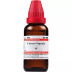 Willmar Schwabe India Cascara Sagrada 1X (Q) (30ml)