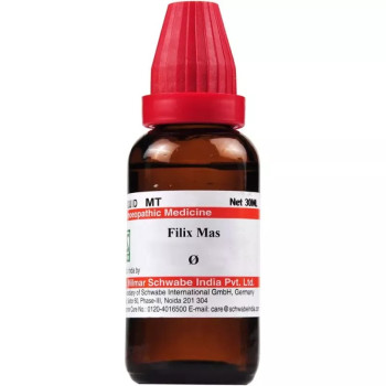 Willmar Schwabe India Filix Mas 1X (Q) (30ml)