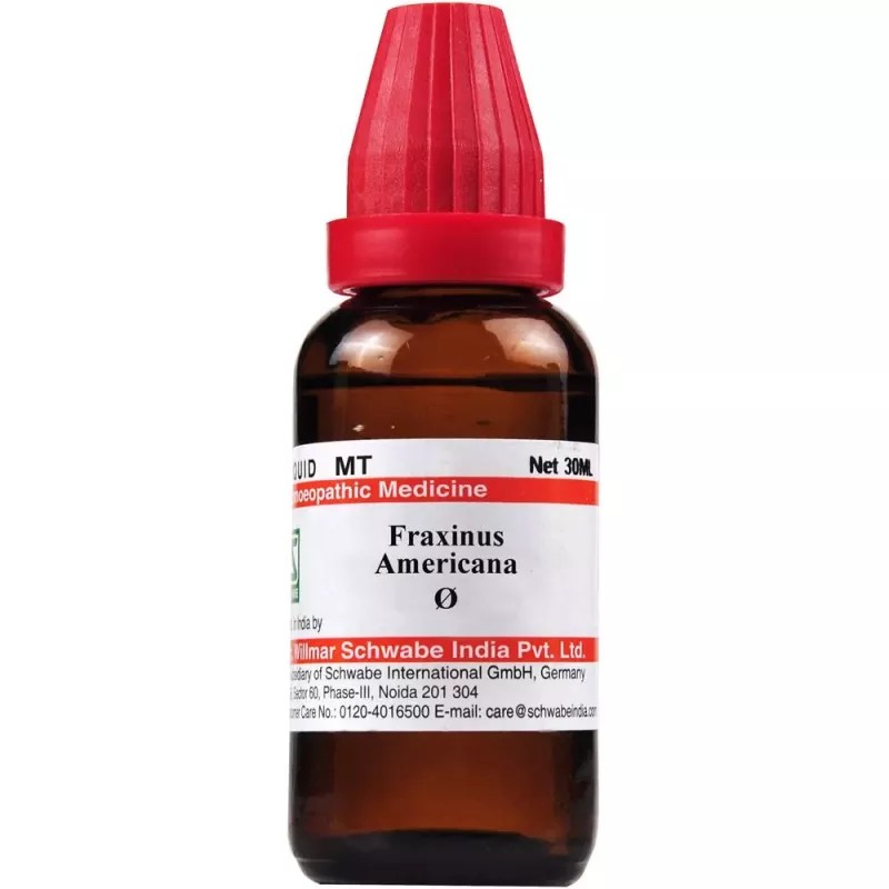 Willmar Schwabe India Fraxinus Americana 1X (Q) (30ml)