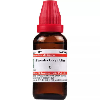 Willmar Schwabe India Psoralea Corylifolia 1X (Q) (30ml)