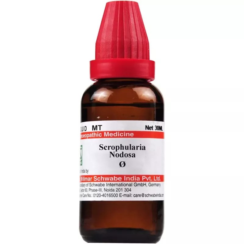 Willmar Schwabe India Scrophularia Nodosa 1X (Q) (30ml)