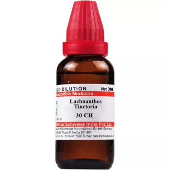 Willmar Schwabe India Lachnanthes Tinctoria 30 CH (30ml)