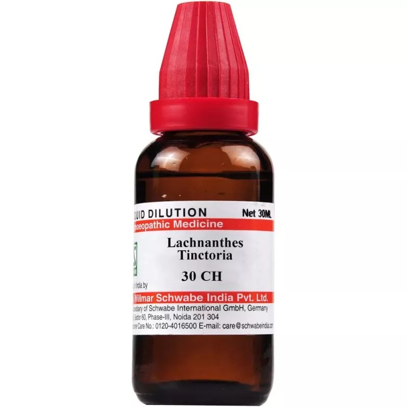 Willmar Schwabe India Lachnanthes Tinctoria 30 CH (30ml)