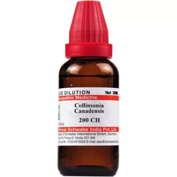 Willmar Schwabe India Collinsonia Canadensis 200 CH (30ml)