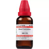 Willmar Schwabe India Ruta Graveolens 200 CH (30ml)