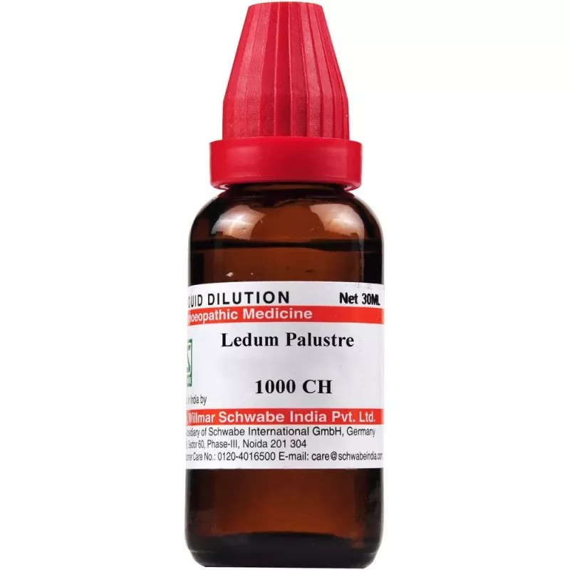 Willmar Schwabe India Ledum palustre 1M (1000 CH) (30ml)