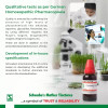 Willmar Schwabe India Cannabis Indica 1X (Q) (30ml)