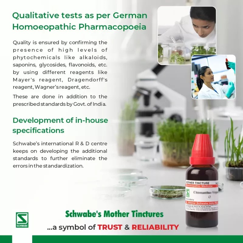 Willmar Schwabe India Tinospora Cordifolia (Giloy) 1X (Q) (30ml)