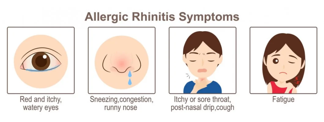 Can Allergy Rhinitis be Permanently Cured by Homeopathy?