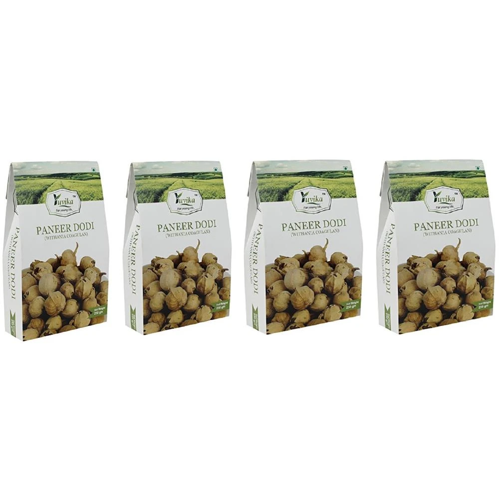 Yuvika Paneer Dodi (250g, Pack of 4)